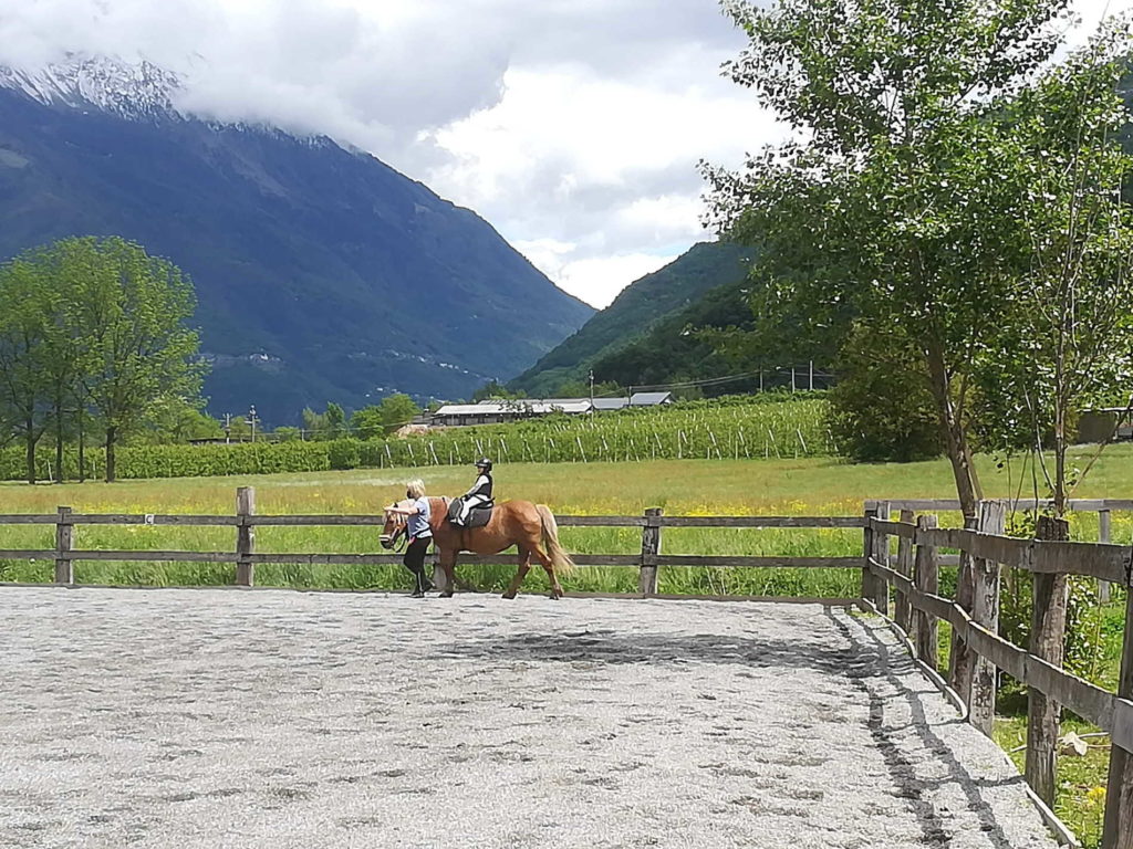 Lezione a cavallo all'azienda agricola La Motta di Villa di Tirano
